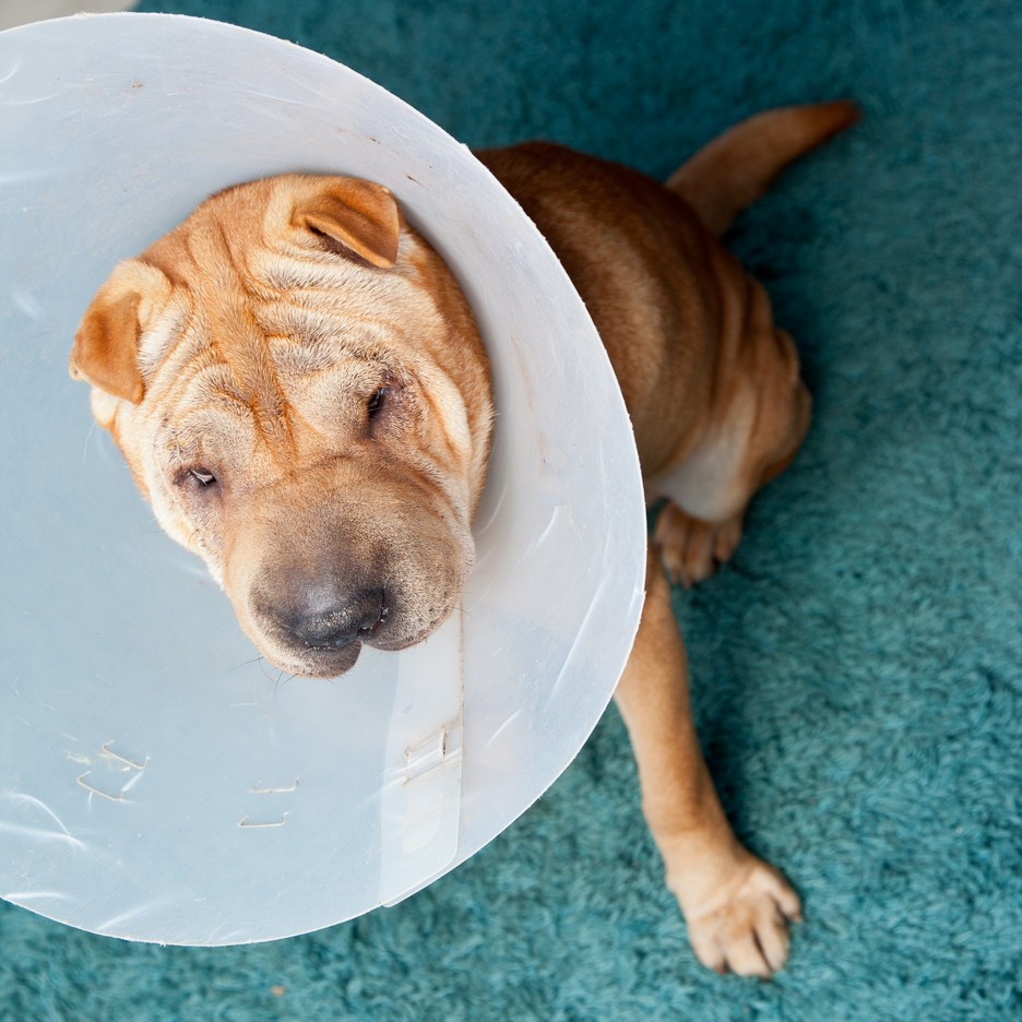 Surgery Mission Viejo, CA